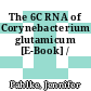 The 6C RNA of Corynebacterium glutamicum [E-Book] /