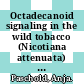 Octadecanoid signaling in the wild tobacco (Nicotiana attenuata) in response to herbivory /