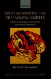Understanding the prefrontal cortex : selective advantage, connectivity, and neural operations /