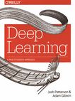 Deep learning : a practitioner's approach /