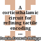 A corticothalamic circuit for refining tactile encoding : a switch between feature detection and discrimination /