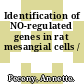 Identification of NO-regulated genes in rat mesangial cells /
