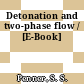 Detonation and two-phase flow / [E-Book]