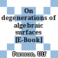 On degenerations of algebraic surfaces [E-Book] /