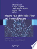 Imaging Atlas of the Pelvic Floor and Anorectal Diseases [E-Book] /