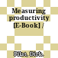 Measuring productivity [E-Book] /
