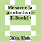Mesurer la productivité [E-Book] /