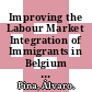 Improving the Labour Market Integration of Immigrants in Belgium [E-Book] /