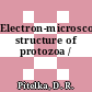 Electron-microscopic structure of protozoa /