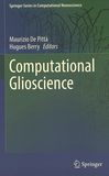Computational glioscience /