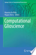 Computational glioscience [E-Book] /