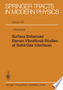 Surface Enhanced Raman Vibrational Studies at Solid/Gas Interfaces [E-Book] /