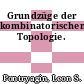 Grundzüge der kombinatorischen Topologie.