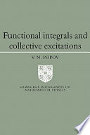 Functional integrals and collective excitations /