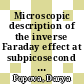 Microscopic description of the inverse Faraday effect at subpicosecond time scales [E-Book] /