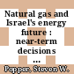 Natural gas and Israel's energy future : near-term decisions from a strategic perspective [E-Book] /