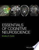 Essentials of cognitive neuroscience [E-Book] /
