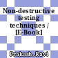 Non-destructive testing techniques / [E-Book]