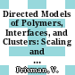 Directed Models of Polymers, Interfaces, and Clusters: Scaling and Finite-Size Properties [E-Book] /