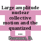 Large amplitude nuclear collective motion and the quantized ATDHF theory [E-Book] /