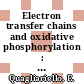 Electron transfer chains and oxidative phosphorylation : Proceedings of the international symposium : Bioenergetics: international congress. 0011 : Selva-di-Fasano, 15.09.75-18.09.75.