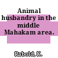 Animal husbandry in the middle Mahakam area.