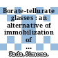 Borate-tellurate glasses : an alternative of immobilization of the hazardous wastes [E-Book] /