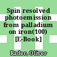 Spin resolved photoemission from palladium on iron(100) [E-Book] /