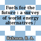 Fuels for the future : a survey of world energy alternatives /