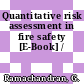 Quantitative risk assessment in fire safety [E-Book] /