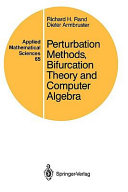 Perturbation methods, bifurcation theory, and computer algebra /