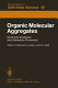 Organic molecular aggregates: electronic excitation and interaction processes : International symposium on organic materials: proceedings : Schloss-Elmau, 05.06.83-10.06.83.