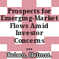 Prospects for Emerging-Market Flows Amid Investor Concerns about Corporate Governance [E-Book] /