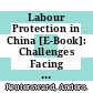 Labour Protection in China [E-Book]: Challenges Facing Labour Offices and Social Insurance /