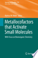 Metallocofactors that Activate Small Molecules [E-Book] : With Focus on Bioinorganic Chemistry /