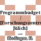 Programmbudget / [Forschungszentrum Jülich] 1999 : Planperiode 1999 - 2002 /