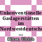 Unkonventionelle Gaslagerstätten im Nordwestdeutschen Becken /