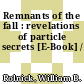 Remnants of the fall : revelations of particle secrets [E-Book] /