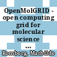 OpenMolGRID - open computing grid for molecular science and engineering : final report /
