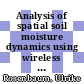 Analysis of spatial soil moisture dynamics using wireless sensor networks /