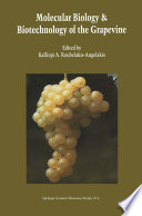 Molecular Biology & Biotechnology of the Grapevine [E-Book] /