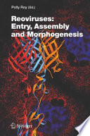 Reoviruses: Entry, Assembly and Morphogenesis [E-Book] /