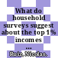 What do household surveys suggest about the top 1% incomes and inequality in OECD countries? [E-Book] /
