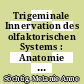 Trigeminale Innervation des olfaktorischen Systems : Anatomie und Funktion [E-Book] /