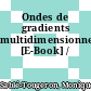 Ondes de gradients multidimensionnelles [E-Book] /