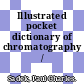 Illustrated pocket dictionary of chromatography / [E-Book]