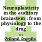 Neuroplasticity in the auditory brainstem : from physiology to the drug therapy [E-Book] /