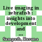 Live imaging in zebrafish : insights into development and disease [E-Book] /