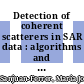 Detection of coherent scatterers in SAR data : algorithms and applications /