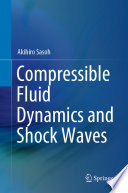 Compressible Fluid Dynamics and Shock Waves [E-Book] /